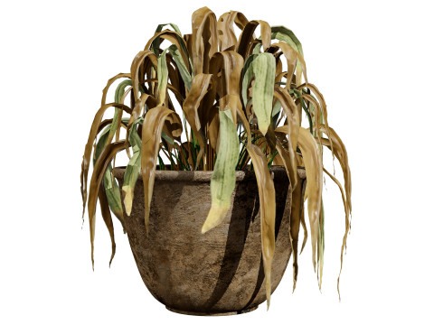 Dead Plant 3D Collection 3D-Modell