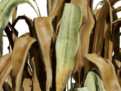 Dead Plant 3D Collection 3D-Modell