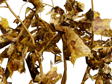 Dead Plant 3D Collection 3D-Modell