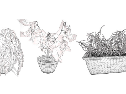 Dead Plant 3D Collection 3D-Modell