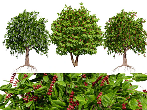 Кавовий завод 3D Модель