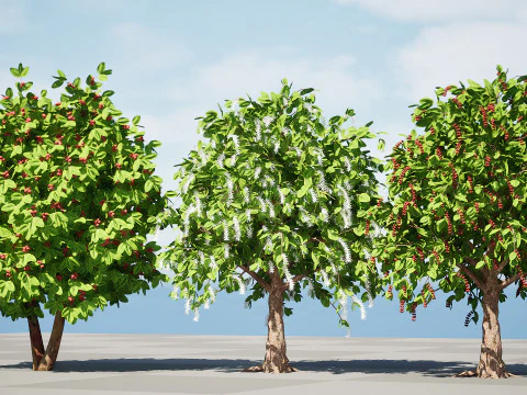 커피공장 3D 모델