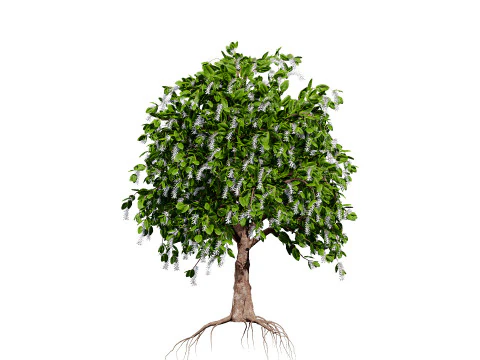 커피공장 3D 모델