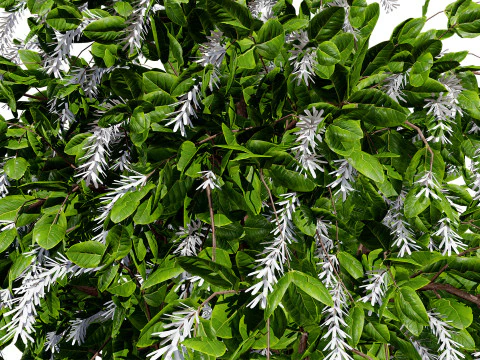 커피공장 3D 모델