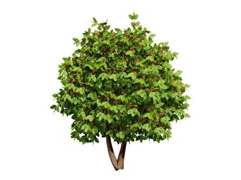 커피공장 3D 모델