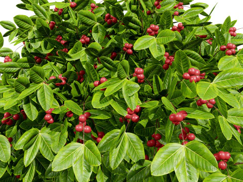 커피공장 3D 모델