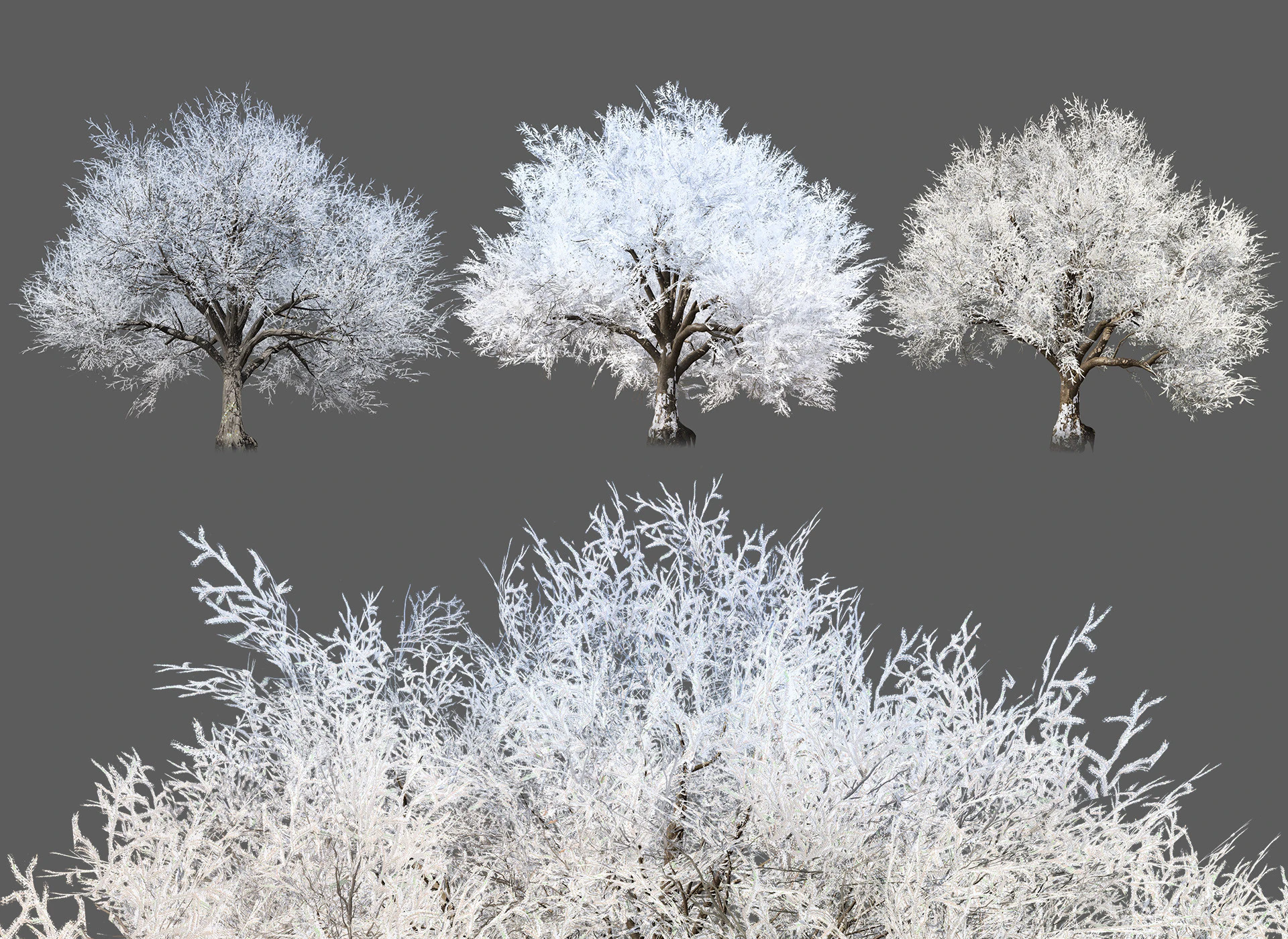 Frozen Tree for Winter Scenes with Free Tutorail 3D Model .c4d .max .obj .3ds .fbx .stl .blend 