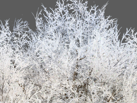 Frozen Tree for Winter Scenes with Free Tutorail 3D Модель