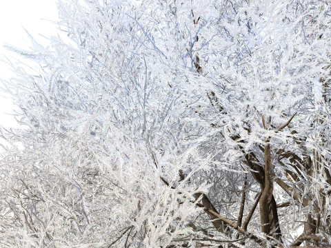Frozen Tree for Winter Scenes with Free Tutorail 3D Модель