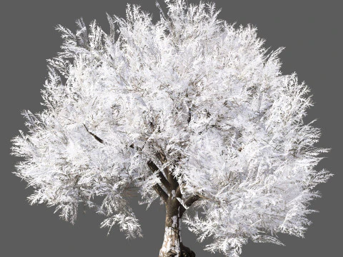 Frozen Tree for Winter Scenes with Free Tutorail 3D Model