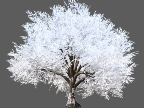 Frozen Tree for Winter Scenes with Free Tutorail 3D Модель