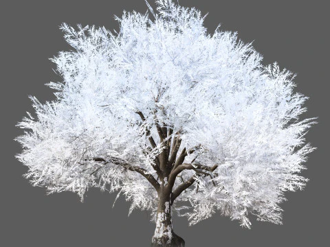 Frozen Tree for Winter Scenes with Free Tutorail 3D Model