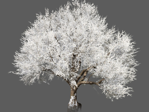 Frozen Tree for Winter Scenes with Free Tutorail 3D Модель