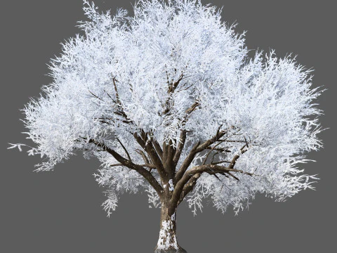 Frozen Tree for Winter Scenes with Free Tutorail 3D Model
