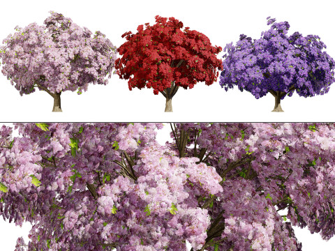 Jacaranda Tree Model 3D 모델