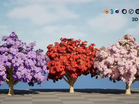 Jacaranda Tree Model 3D Модель