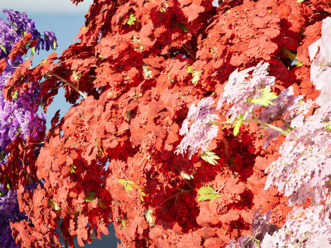 Jacaranda Tree Model 3D Модель