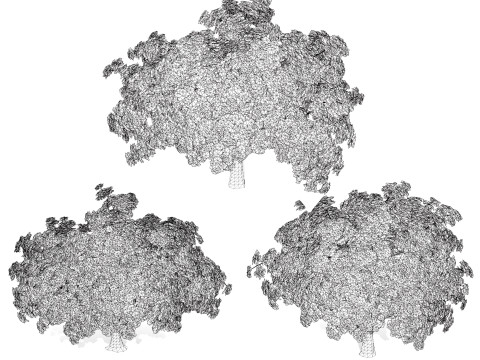 Jacaranda Tree Model 3D Модель
