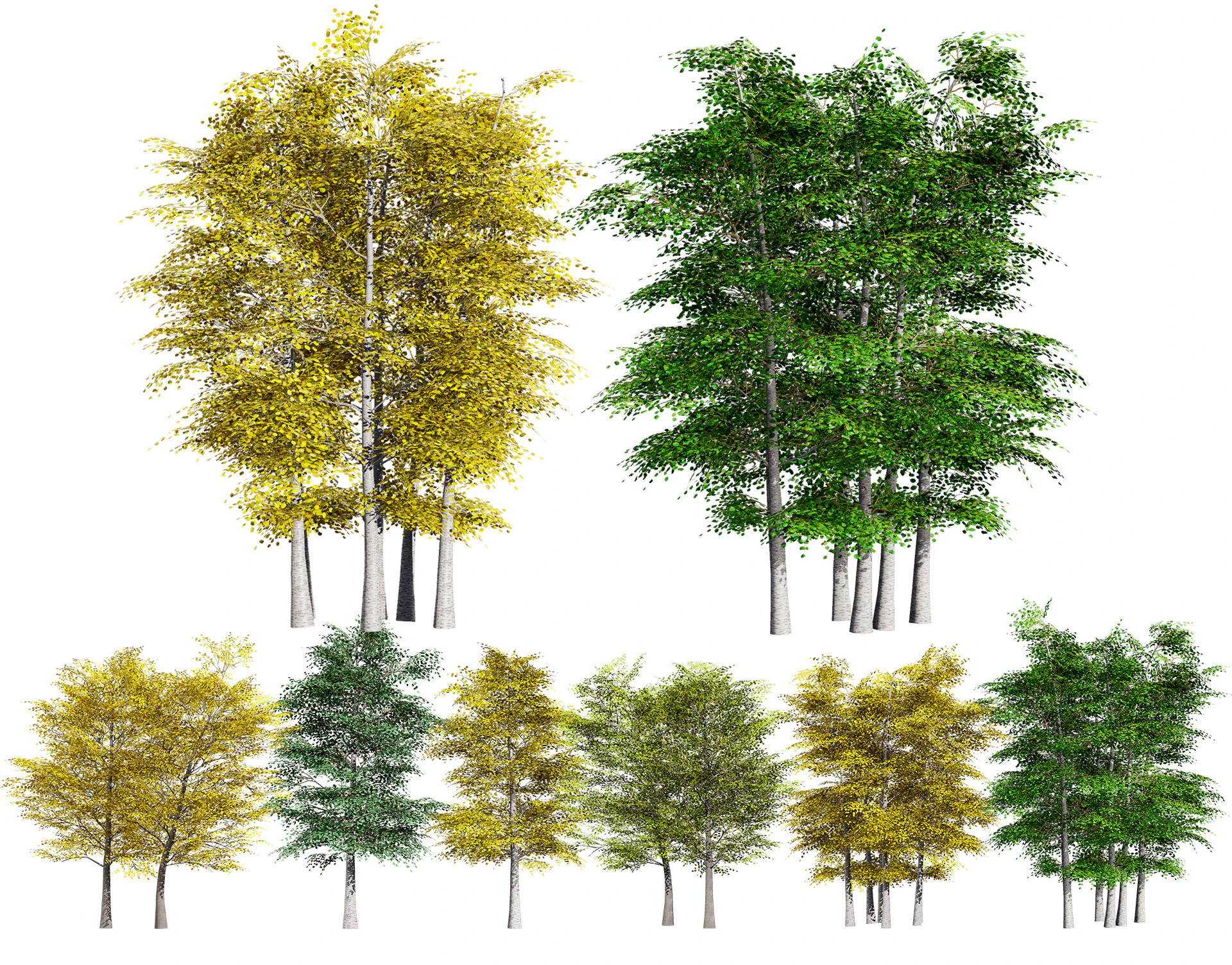 Pacchetto albero di pioppo tremulo Modello 3D .c4d .max .obj .3ds .fbx .stl .blend 