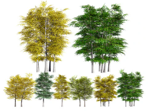 アスペン ツリー パック 3Dモデル