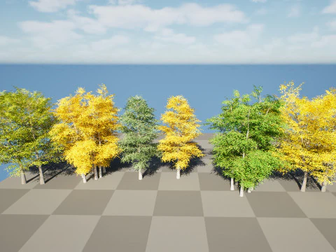 Pacchetto albero di pioppo tremulo Modello 3D