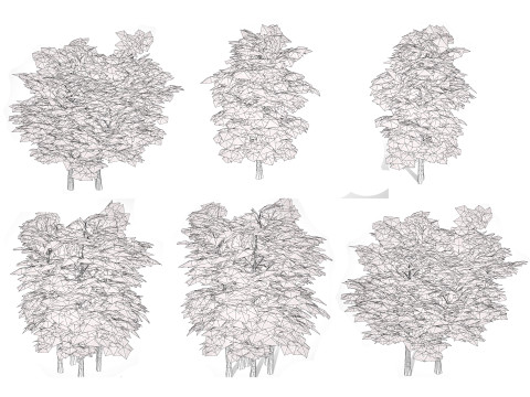 Aspen Tree Pack 3D Model