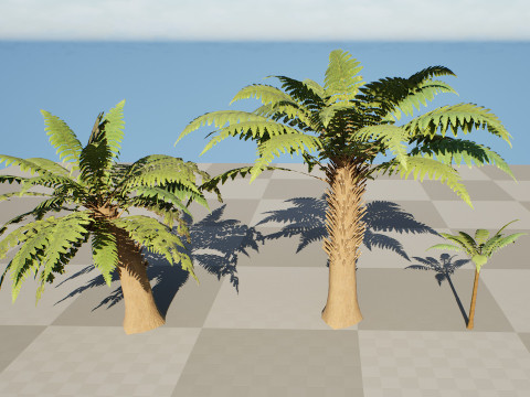 Tree Fern Modelo 3D