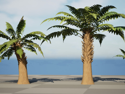Tree Fern Modelo 3D