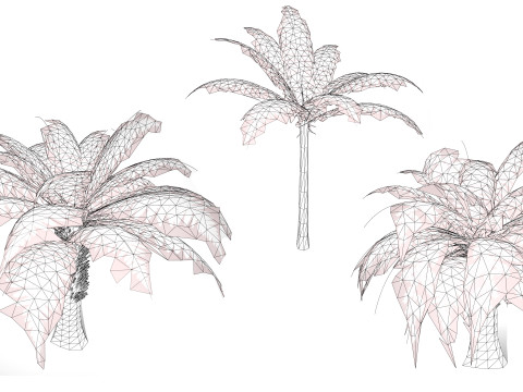 Tree Fern Modelo 3D
