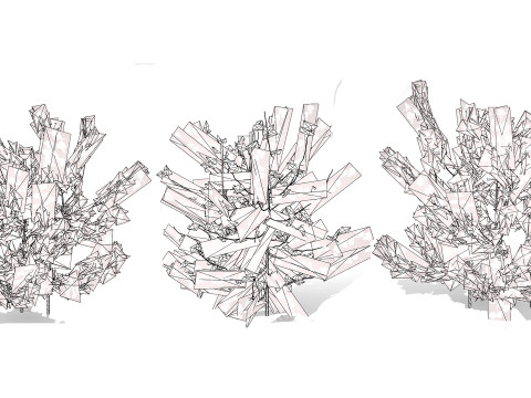 Cotton Plant 3Dモデル