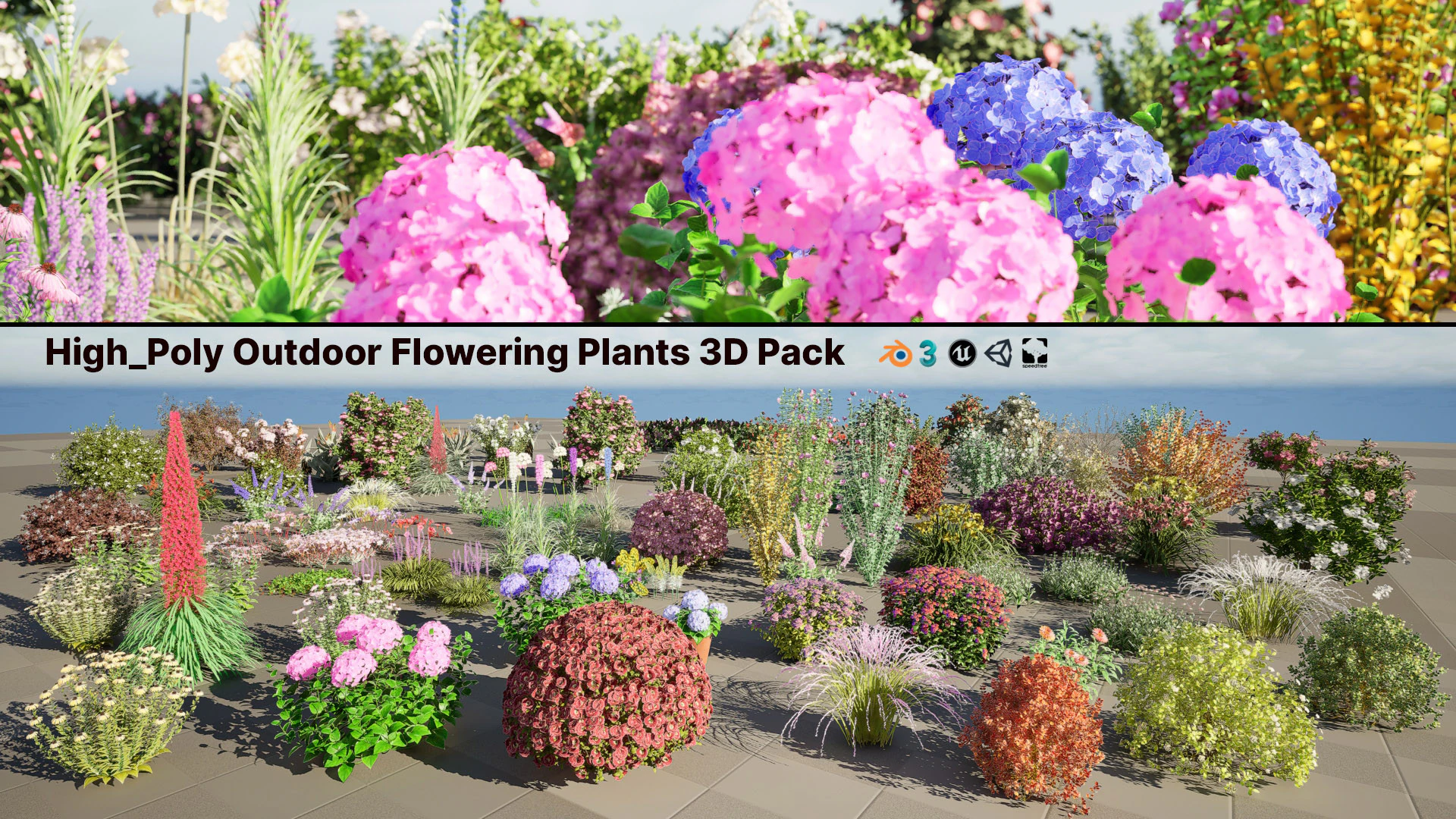 High-Poly Flowering Plants 3D Collection 01 3D Model .c4d .max .obj .3ds .fbx .stl .blend