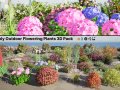 High-Poly Flowering Plants 3D Collection 01 Modèle 3D