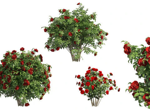 High-Poly Flowering Plants 3D Collection 01 3D Model