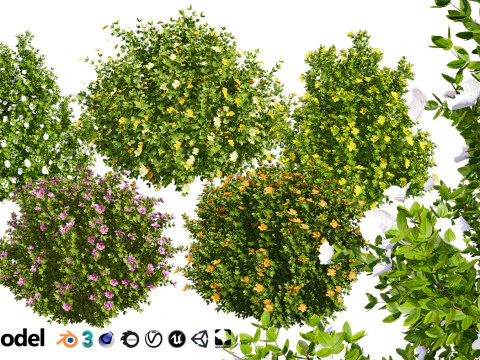 High-Poly Flowering Plants 3D Collection 01 3D Model