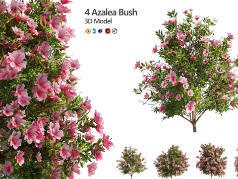 High-Poly Flowering Plants 3D Collection 01 3D Model