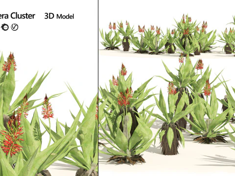 High-Poly Flowering Plants 3D Collection 01 3D Model