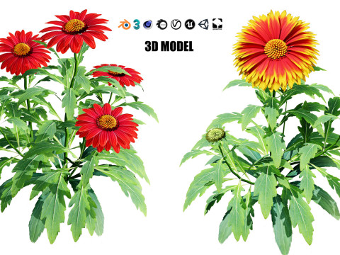 High-Poly Flowering Plants 3D Collection 01 Model 3D