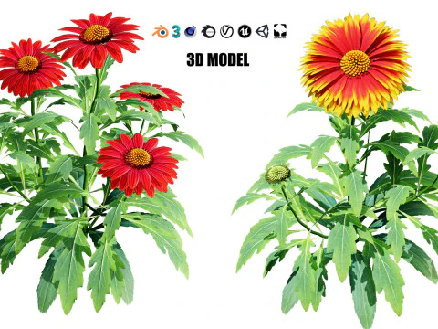 High-Poly Flowering Plants 3D Collection 01 3D Model