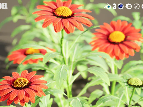 High-Poly Flowering Plants 3D Collection 01 3D Model