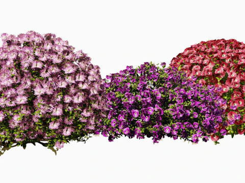 High-Poly Flowering Plants 3D Collection 01 3D Model