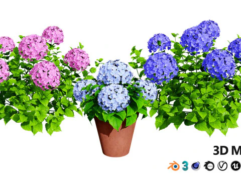 High-Poly Flowering Plants 3D Collection 01 3D Model