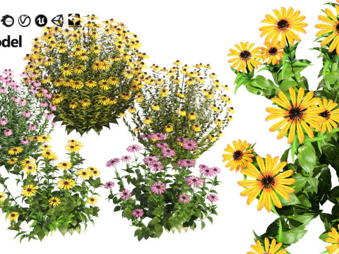 High-Poly Flowering Plants 3D Collection 01 3D Model