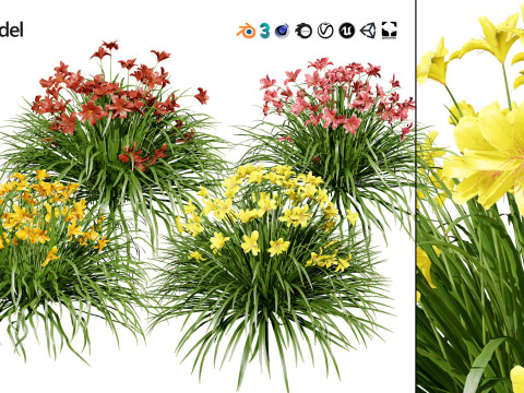 High-Poly Flowering Plants 3D Collection 01 Model 3D