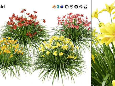 High-Poly Flowering Plants 3D Collection 01 3D Model
