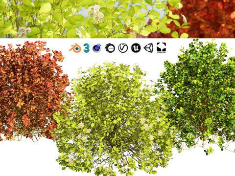 High-Poly Flowering Plants 3D Collection 01 3D Model