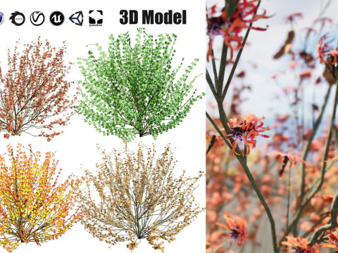 High-Poly Flowering Plants 3D Collection 01 3D Model