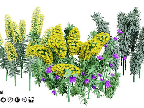 High-Poly Flowering Plants 3D Collection 01 3D Model