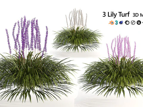 High-Poly Flowering Plants 3D Collection 01 3D Model
