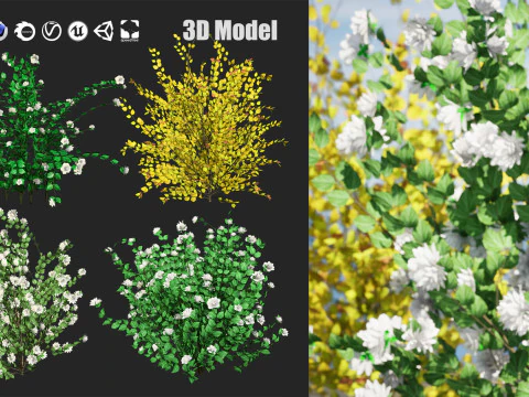 High-Poly Flowering Plants 3D Collection 01 3D Model