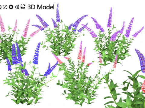 High-Poly Flowering Plants 3D Collection 01 3D Model
